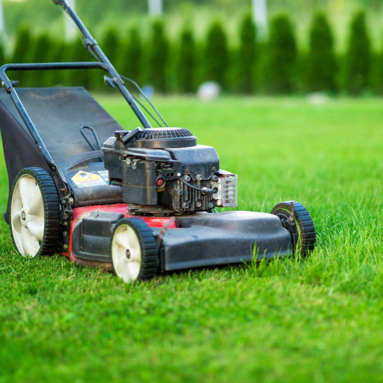 Property Maintenance in Melbourne, FL Property Maintenance in Melbourne, FL