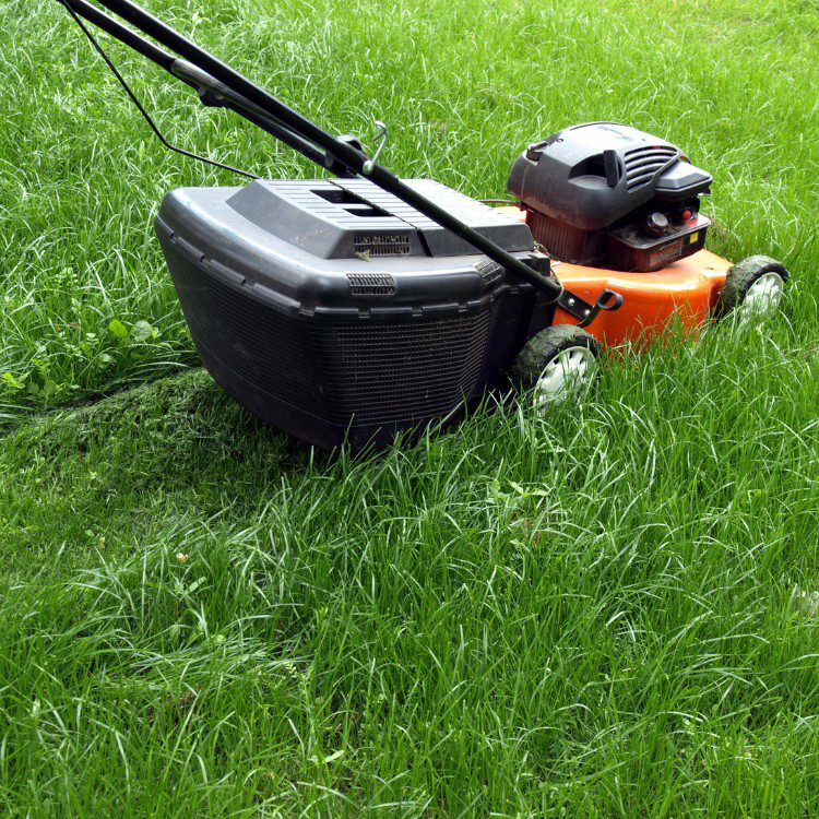 Property Maintenance in Melbourne, FL Property Maintenance in Melbourne, FL