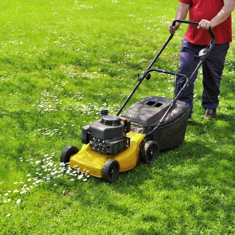 Property Maintenance in Melbourne, FL Property Maintenance in Melbourne, FL